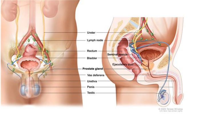 nude pics young chinese girls in shower anal cancer treatment options